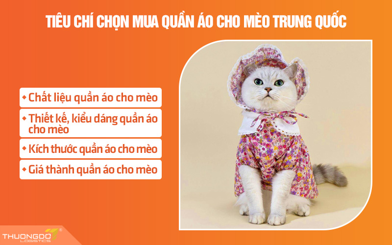 Một số tiêu chí chọn mua quần áo cho mèo nội địa Trung bạn cần biết