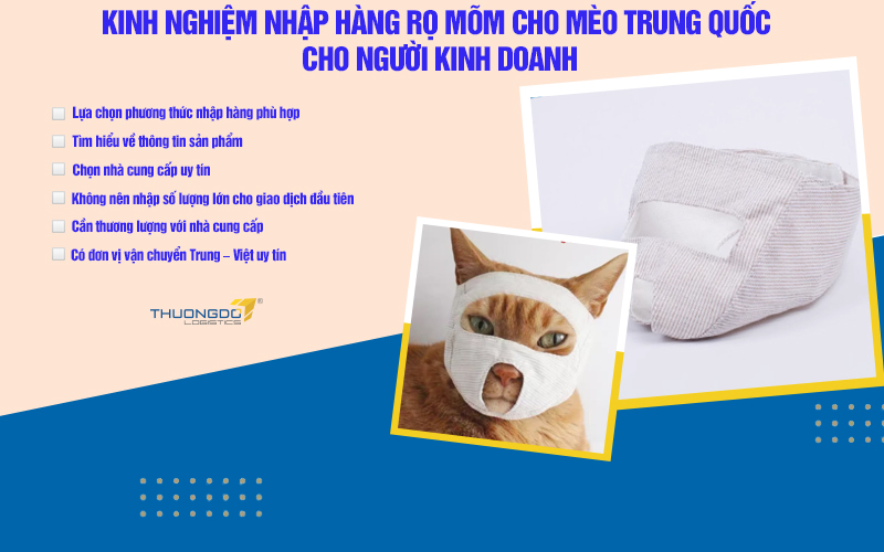 Kinh nghiệm nhập hàng rọ mõm cho mèo Trung Quốc cho người kinh doanh