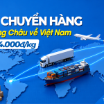 Dịch vụ vận chuyển hàng từ Quảng Châu về Việt Nam T8/2026, chỉ từ 8.000đ/kg