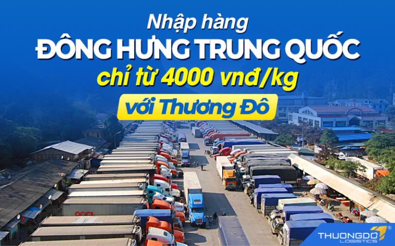 Nhập hàng Đông Hưng Trung Quốc T8/2026 chỉ từ 8000VNĐ/kg với Thương Đô