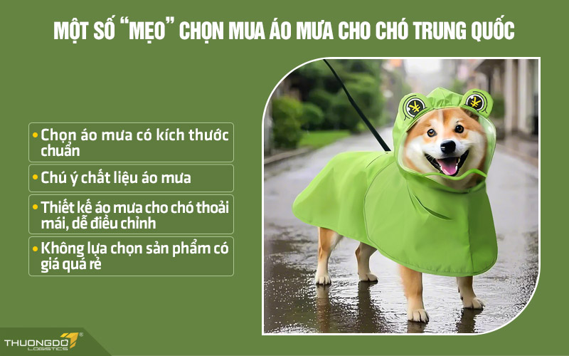 Mẹo chọn mua áo mưa cho chó nội địa Trung bạn cần biết