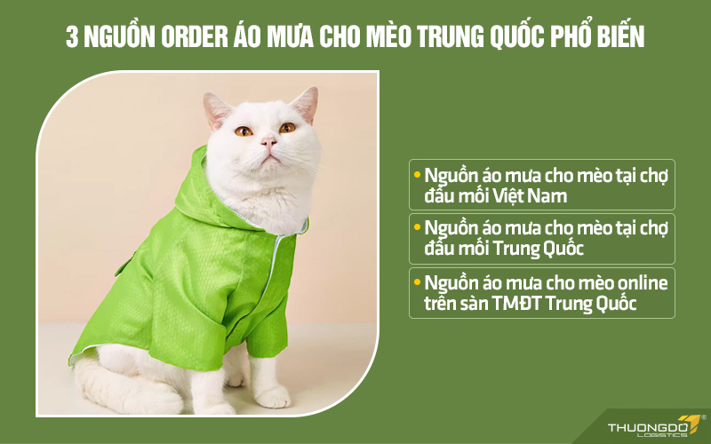 Ba nguồn order áo mưa cho mèo Trung Quốc bạn có thể chọn mua theo nhu cầu