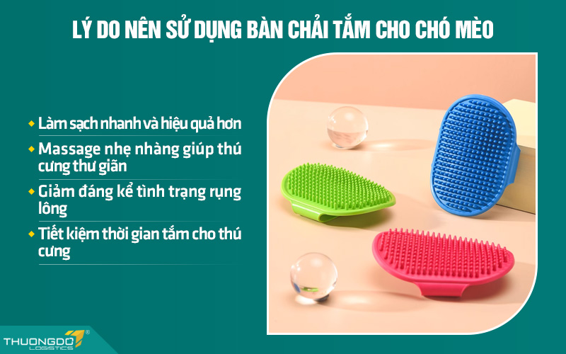 Một số lý do nên sử dụng bàn chải tắm cho chó mèo nội địa Trung