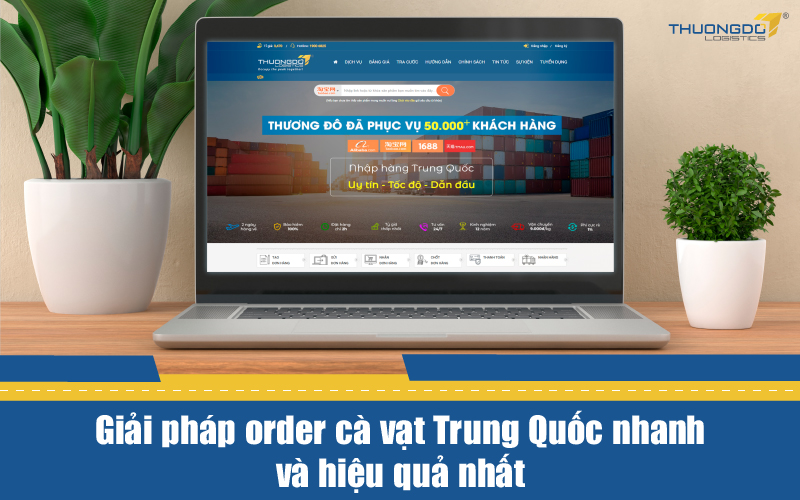 Giải pháp order cà vạt Trung Quốc nhanh và hiệu quả nhất