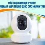 Các loại camera IP wifi – Order camera IP wifi Trung Quốc cực nhanh trên Taobao
