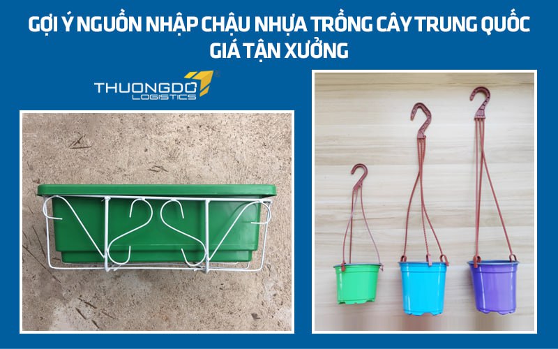 Gợi ý nguồn nhập chậu nhựa trồng cây Trung Quốc giá tận xưởng