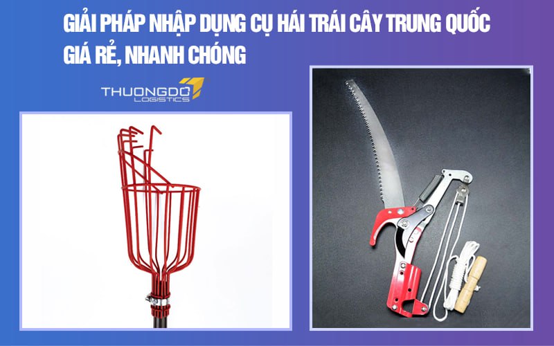Giải pháp nhập dụng cụ hái trái cây giá rẻ Trung Quốc, nhanh chóng