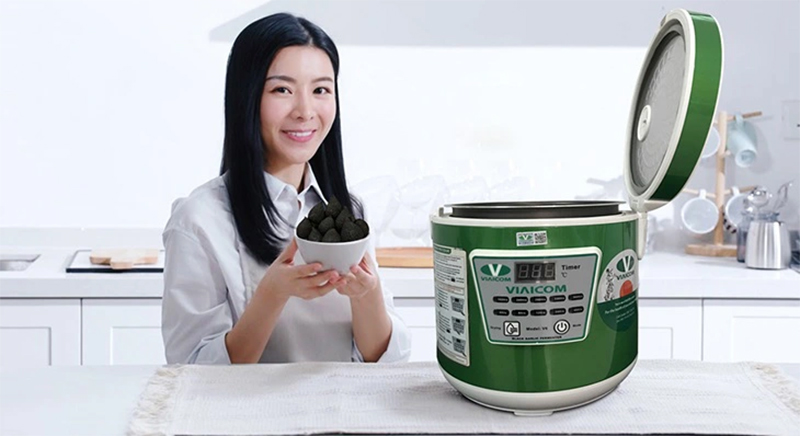 Máy làm tỏi đen VIAICOM V6