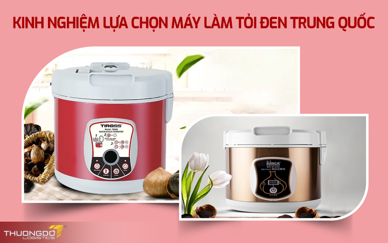 Kinh nghiệm lựa chọn máy làm tỏi đen Trung Quốc