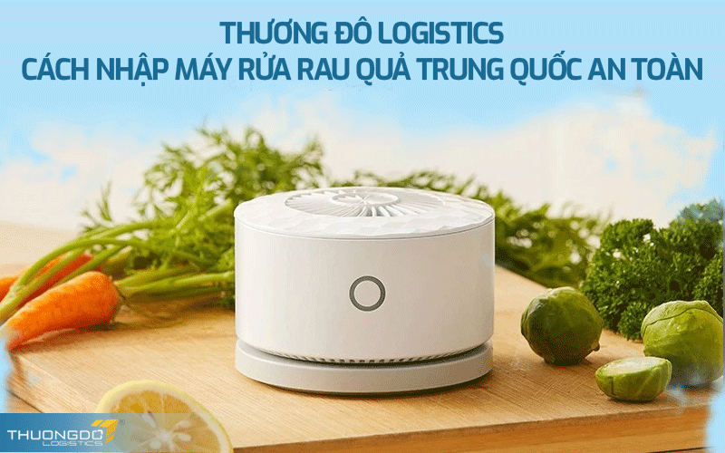 Thương Đô Logistics - Cách nhập máy rửa rau quả Trung Quốc an toàn