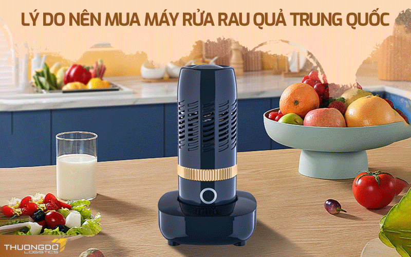 Lý do nên mua máy rửa rau quả Trung Quốc