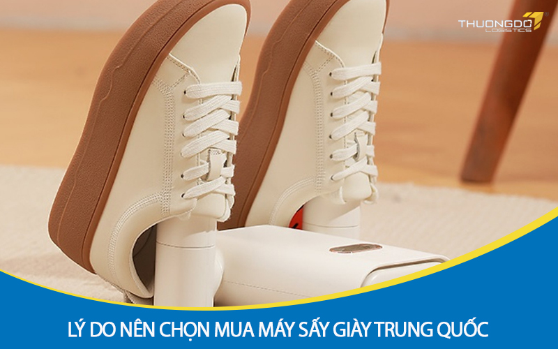 Lý do nên chọn mua máy sấy giày Trung Quốc