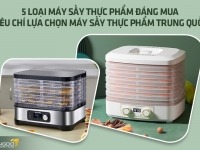 5 loại máy sấy thực phẩm đáng mua – Tiêu chí lựa chọn máy sấy thực phẩm Trung Quốc