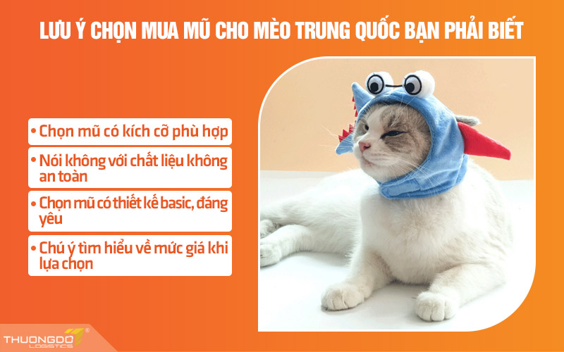 Một số lưu ý chọn mua mũ cho mèo nội địa Trung bạn cần biết