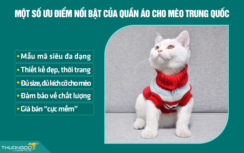 Ưu điểm nổi bật của quần áo cho mèo nội địa Trung