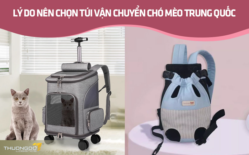 Lý do nên chọn túi vận chuyển chó mèo Trung Quốc