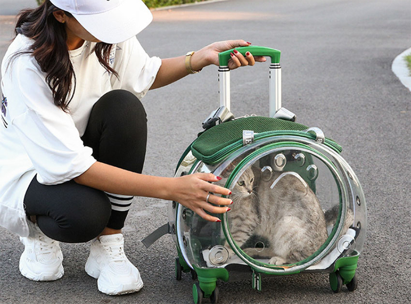 Vali kéo vận chuyển chó mèo