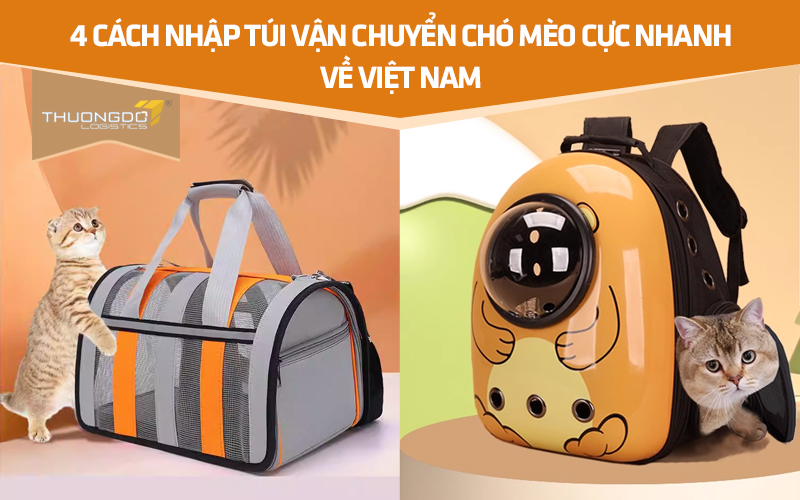 4 cách nhập túi vận chuyển chó mèo cực nhanh về Việt Nam