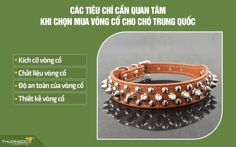 Một số tiêu chí chọn mua vòng cổ cho chó nội địa Trung bạn cần biết