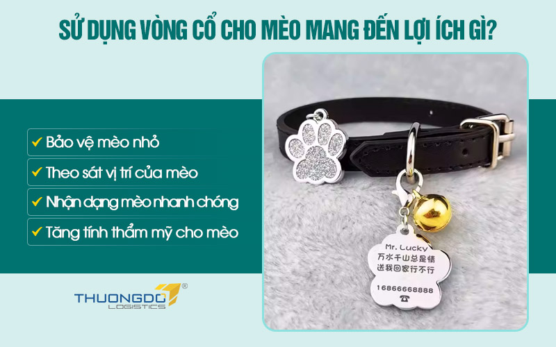 Một số lợi ích nhận được khi sử dụng vòng cổ cho mèo