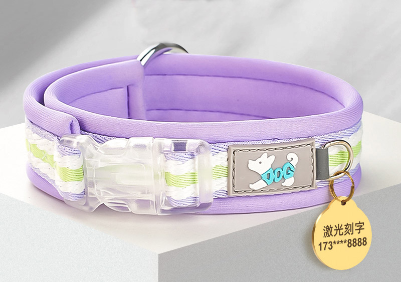 Vòng cổ đèn led cho chó