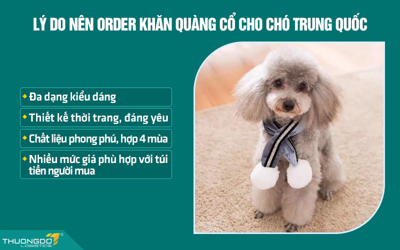 Một số lý do nên order khăn quàng cổ cho chó nội địa Trung