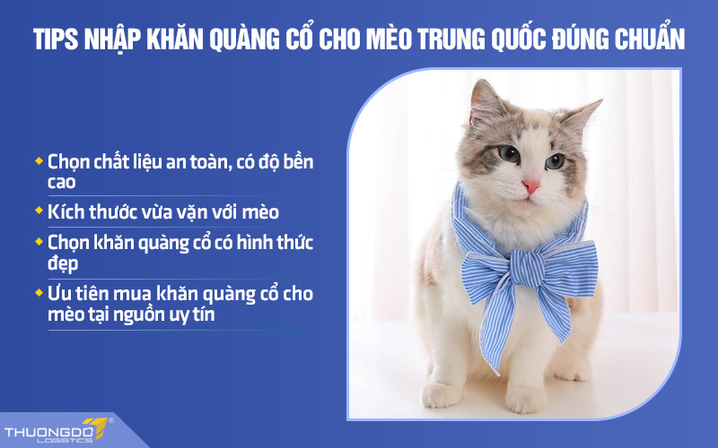 Một số tips cần bỏ túi để nhập khăn quàng cổ cho mèo chất lượng, phù hợp