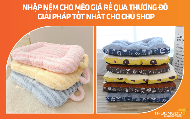 Nhập nệm cho mèo giá rẻ qua Thương Đô – Giải pháp tốt nhất cho chủ shop