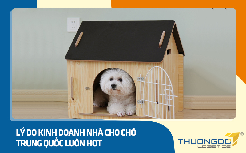Lý do kinh doanh nhà cho chó nội địa Trung Quốc luôn hot