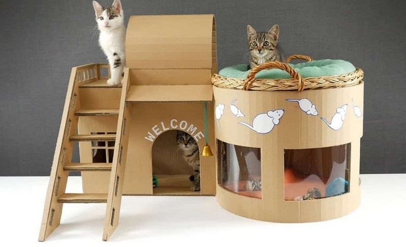 Nhà cho mèo làm từ carton