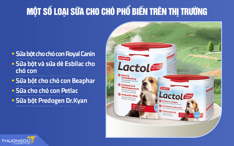 Một số loại sữa cho chó phổ biến trên thị trường hiện nay