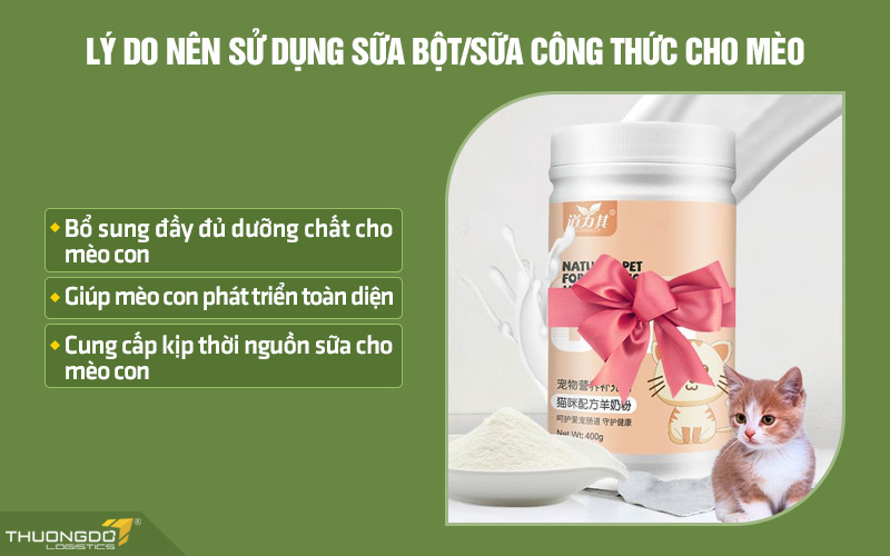 Lý do nên sử dụng sữa cho mèo con hiện nay