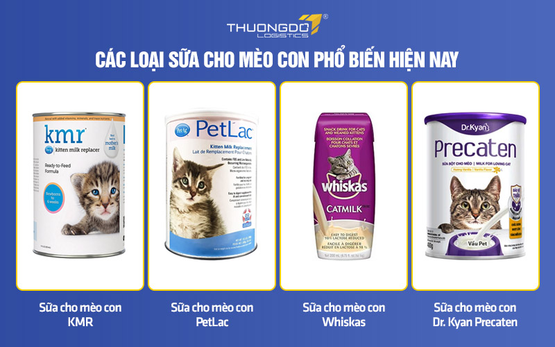 Các loại sữa cho mèo phổ biến hiện nay