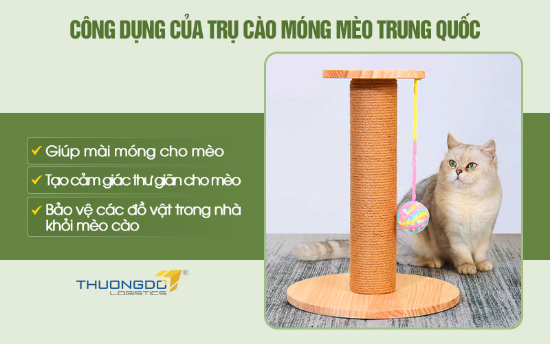 Một số công dụng của trụ cào móng mèo bạn cần biết