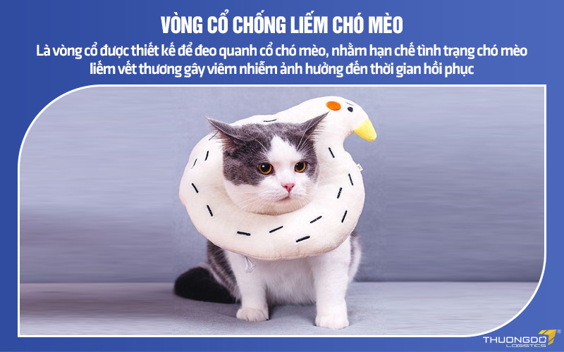 Vòng chống liếm là loại vòng được thiết kế đeo cổ cho chó mèo