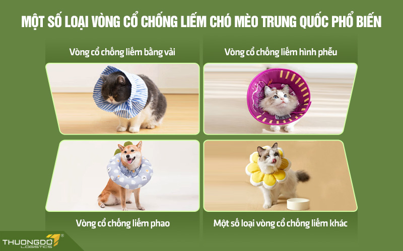 Một số loại vòng chống liếm chó mèo Trung Quốc nên lựa chọn