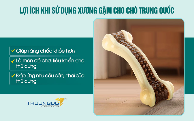 Lợi ích khi sử dụng xương gặm cho chó Trung Quốc