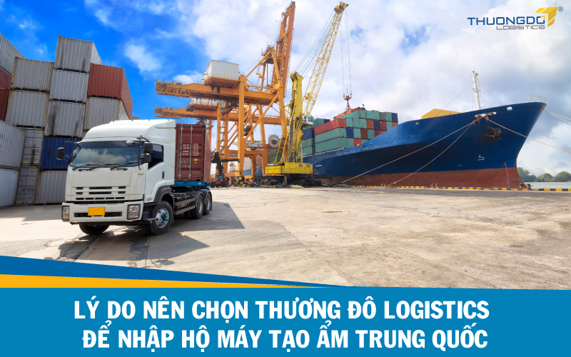 Lý do nên chọn Thương Đô Logistics để nhập hộ máy tạo ẩm Trung Quốc