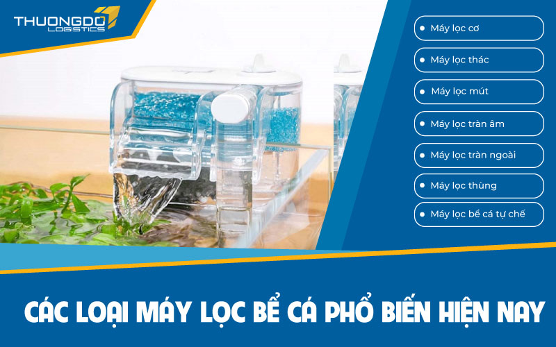 Các loại máy lọc bể cá phổ biến hiện nay
