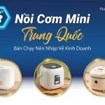 Top 3 nồi cơm mini Trung Quốc bán chạy nên nhập về kinh doanh