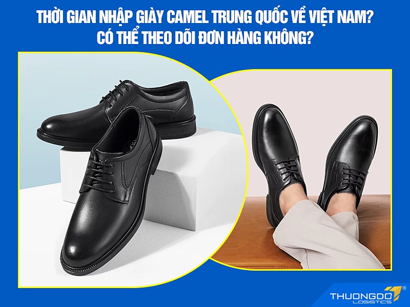 giày Camel Trung Quốc