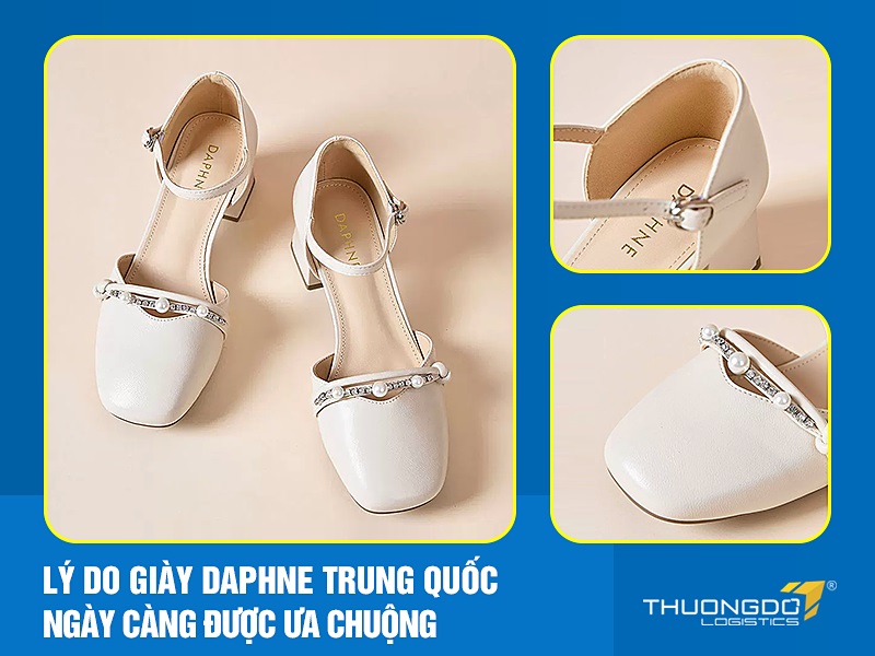giày Daphne Trung Quốc