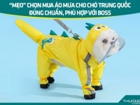 “Mẹo” chọn mua áo mưa cho chó Trung Quốc đúng chuẩn, phù hợp với boss