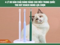 4 Lý do bàn chải đánh răng cho mèo Trung Quốc thu hút khách hàng lựa chọn