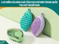 6 ưu điểm của bàn chải tắm cho chó mèo Trung Quốc thu hút người mua