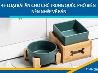 4+ loại bát ăn cho chó Trung Quốc phổ biến nên nhập về bán