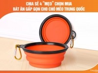 Chia sẻ 4 “mẹo” chọn mua bát ăn gấp gọn cho chó mèo Trung Quốc bạn nên biết