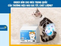 Order bỉm cho mèo Trung Quốc của thương hiệu nào giá tốt, chất lượng?