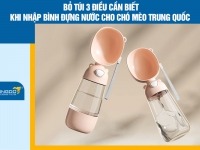 Bỏ túi 3 điều cần biết khi nhập bình đựng nước cho chó mèo Trung Quốc