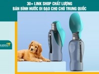 30+ Link shop chất lượng bán bình nước đi dạo cho chó Trung Quốc